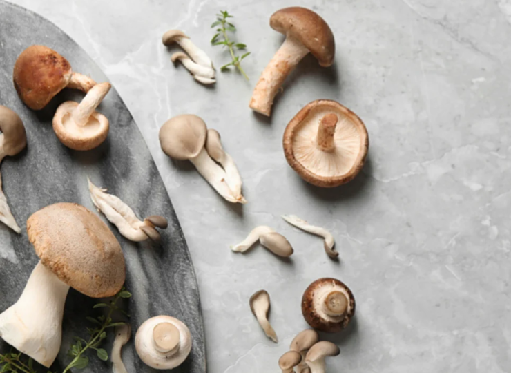 Why speciality mushrooms