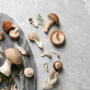 Why speciality mushrooms