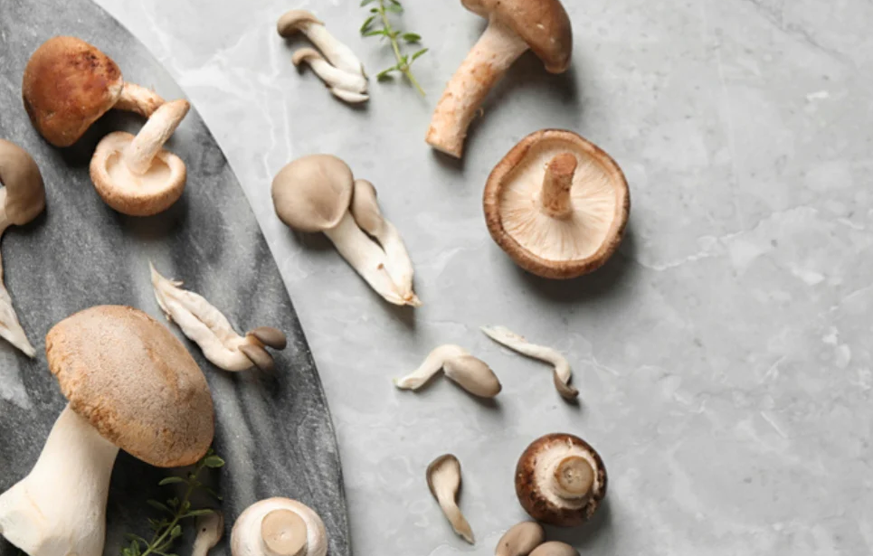Why speciality mushrooms